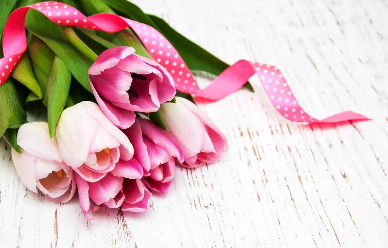 Фото обои тюльпаны, розовые, wood, pink, flowers, tulips