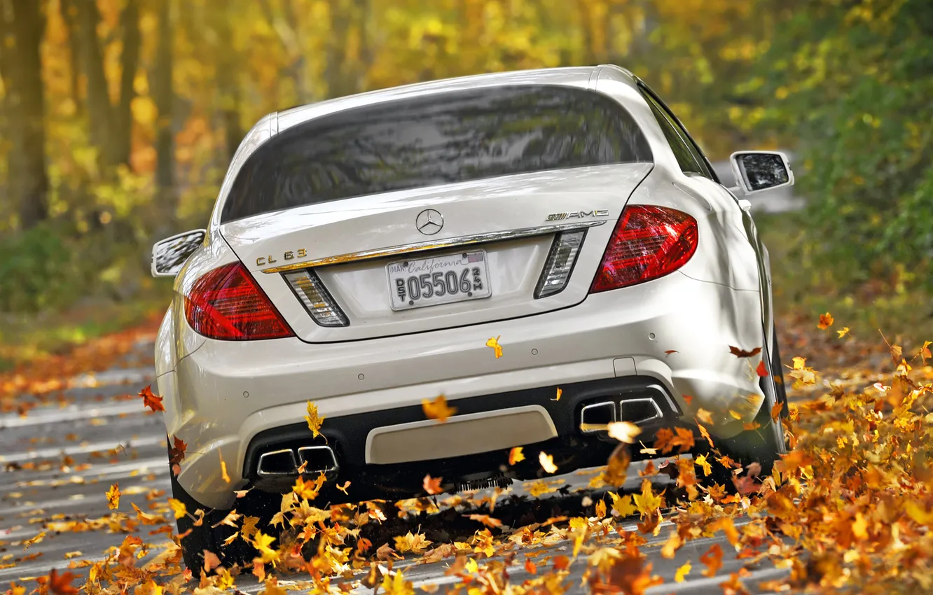 Фото обои осень, белый, листья, деревья, Mercedes-Benz, скорость, суперкар, мерседес