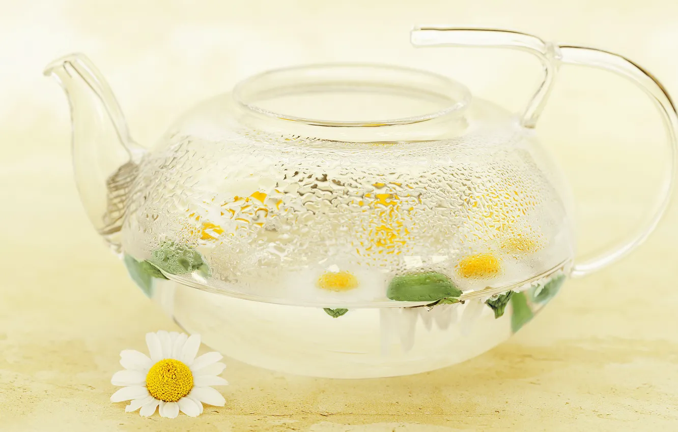 Фото обои капли, цветы, прозрачный, чай, стеклянный, ромашки, чайник, ромашковый