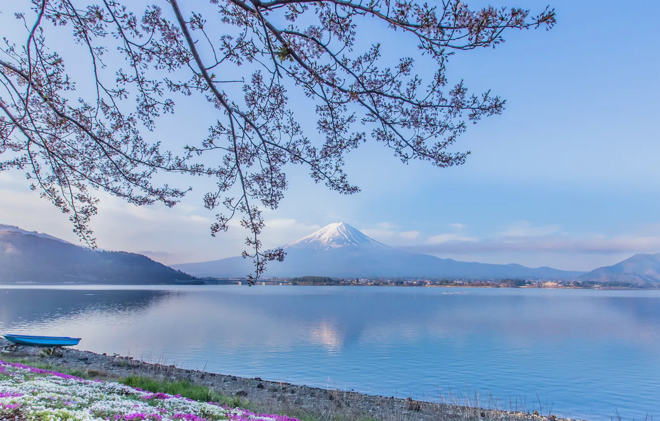 Фото обои цветы, ветки, озеро, лодка, гора, вулкан, Япония, Фудзи