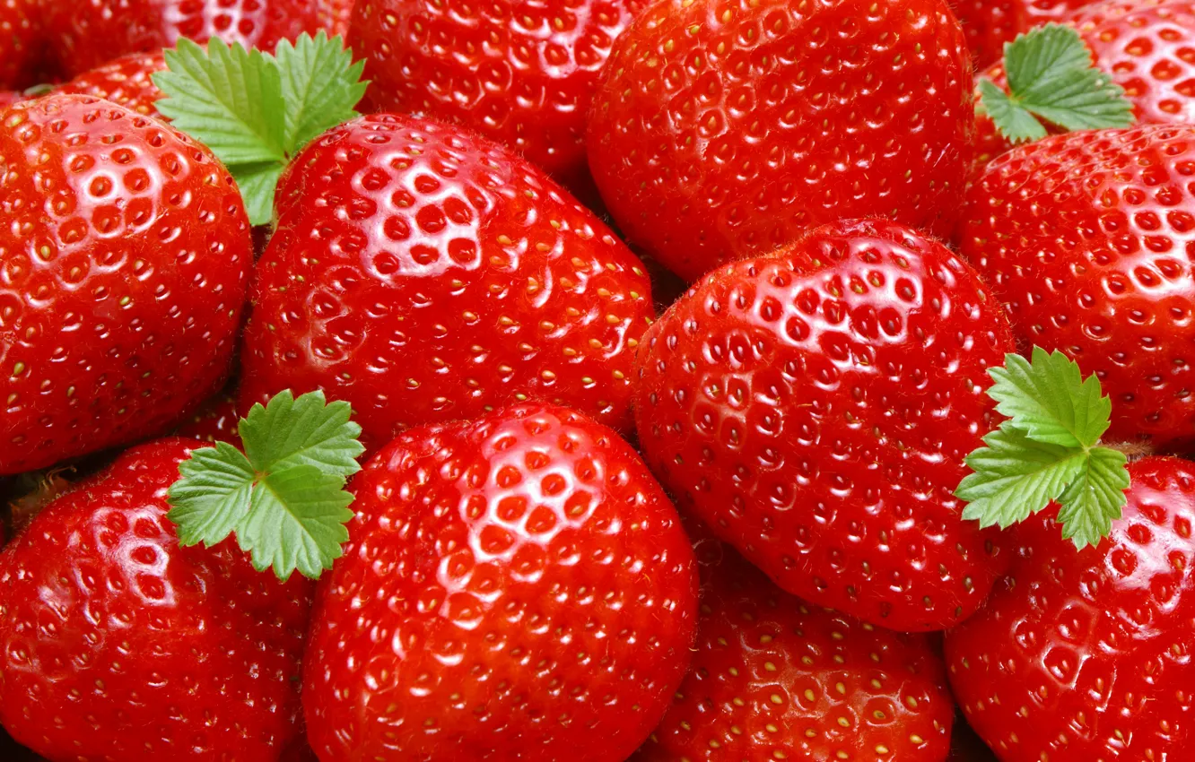 Фото обои красный, ягоды, листочки, Strawberry, berries, виктория