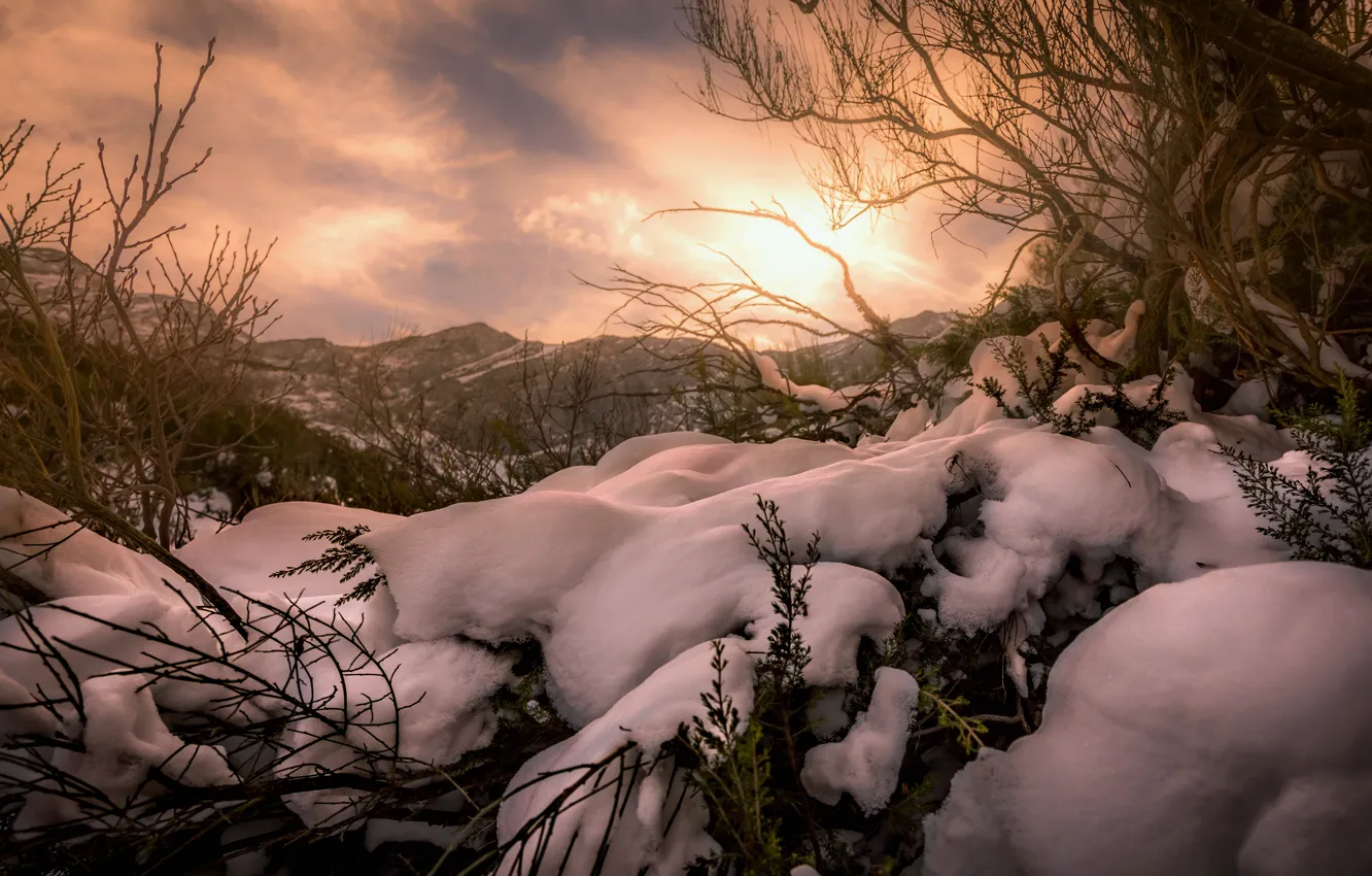 Фото обои зима, небо, солнце, свет, снег, деревья, горы, ветки