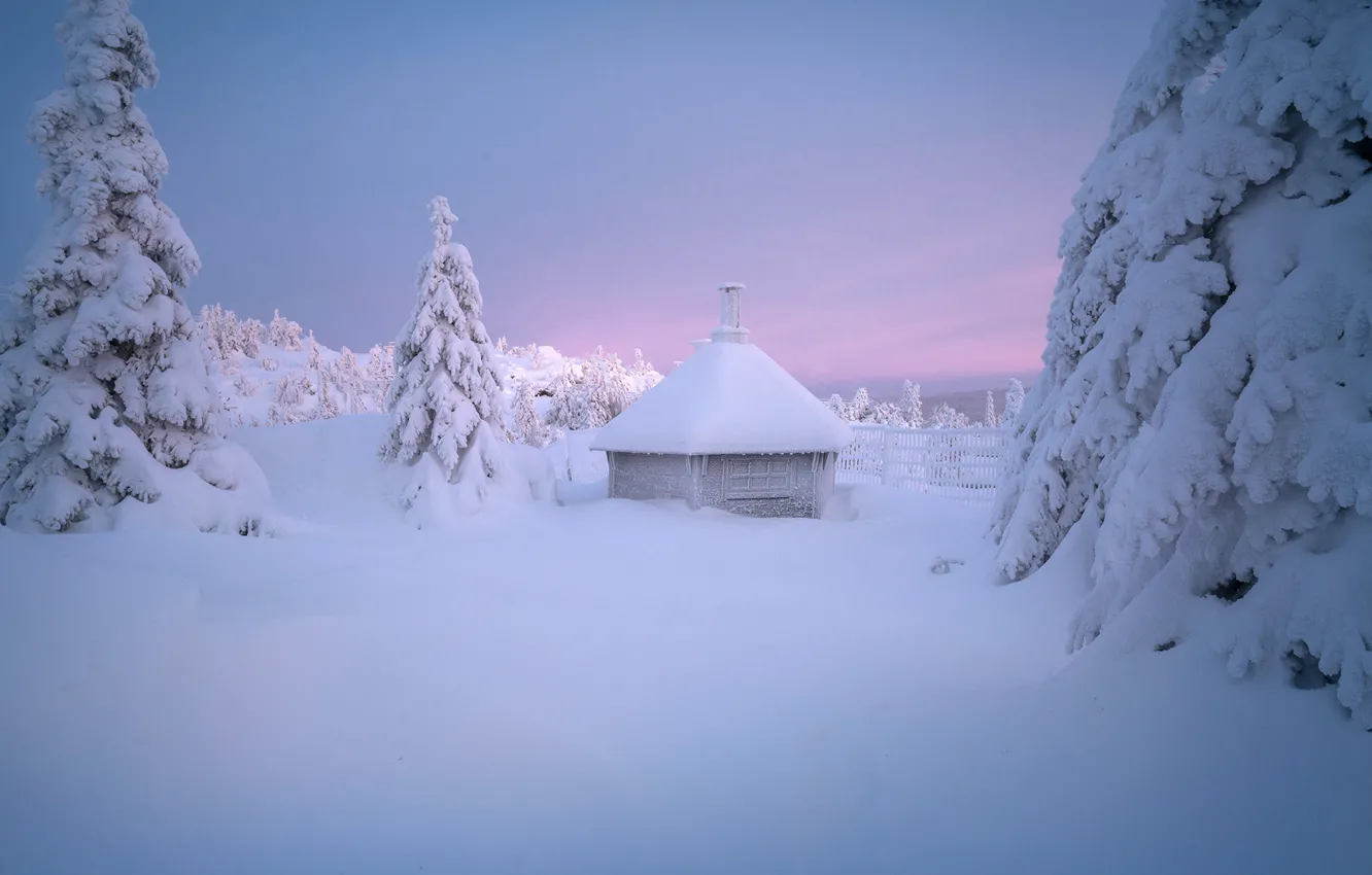 Фото обои зима, снег, деревья, избушка, ели, сугробы, хижина, Андрей Базанов