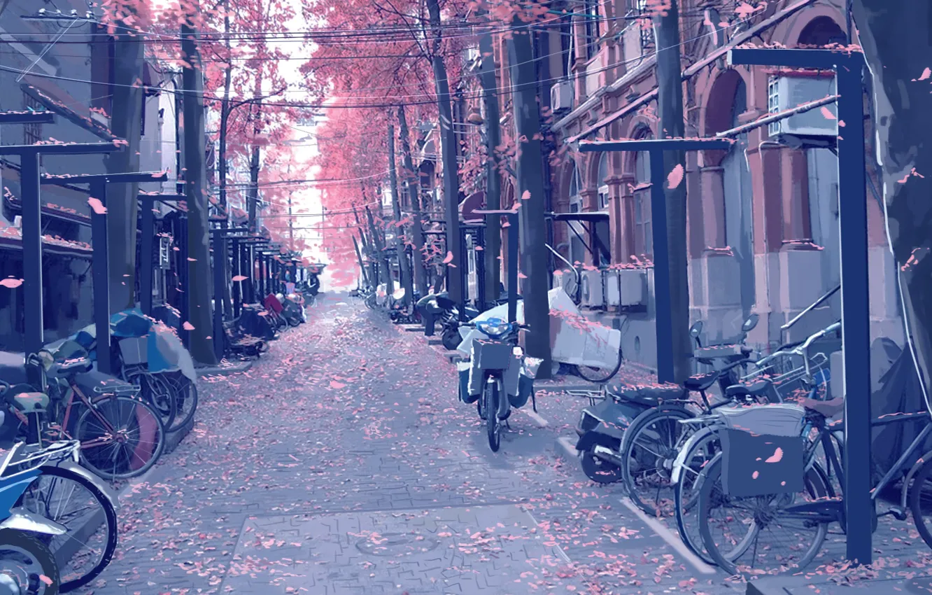 Фото обои мотоциклы, улица, столбы, провода, брусчатка, лепестки, art, велосипеды