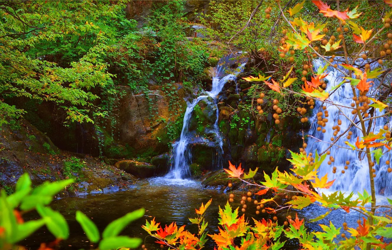 Фото обои Водопад, Осень, Листья, Камни, Fall, Autumn, Waterfall, Colors