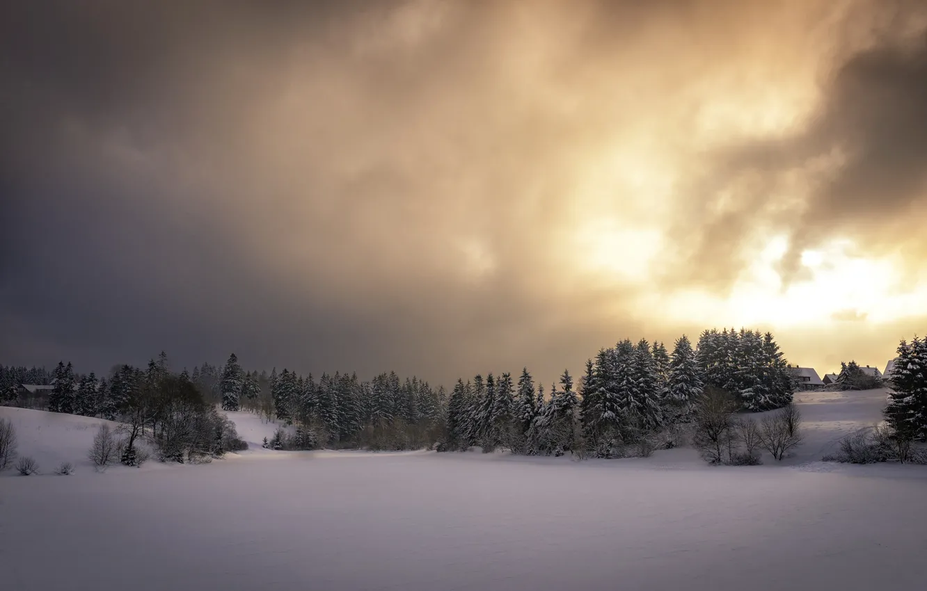 Фото обои зима, небо, снег, закат, природа