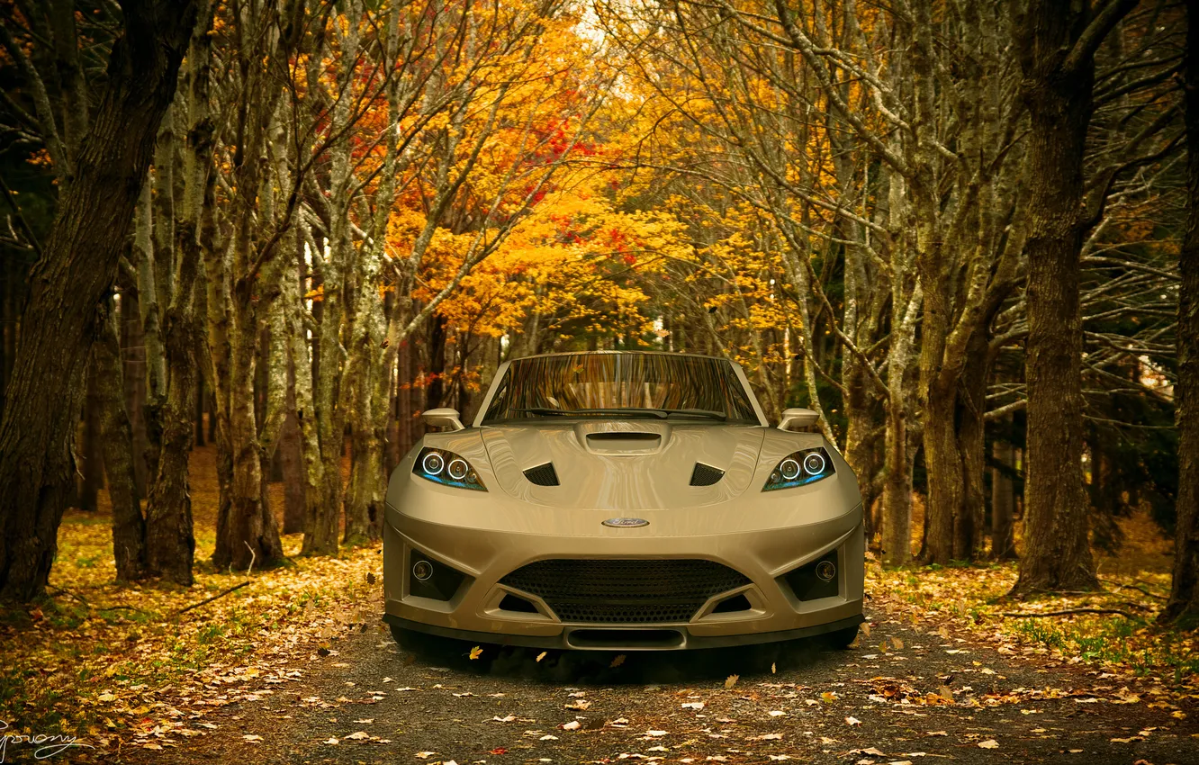 Фото обои осень, concept, ford