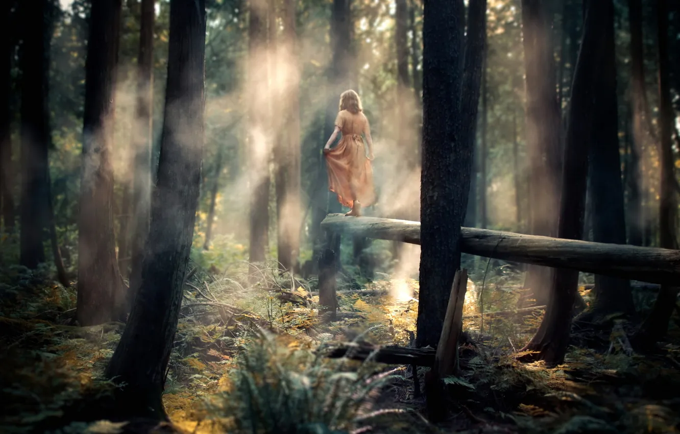 Фото обои лес, девушка, туман, настроение
