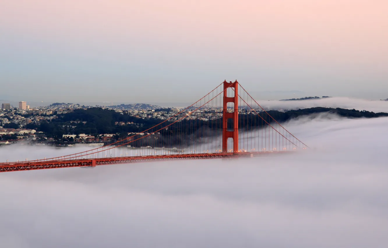 Фото обои мост, туман, мост в тумане