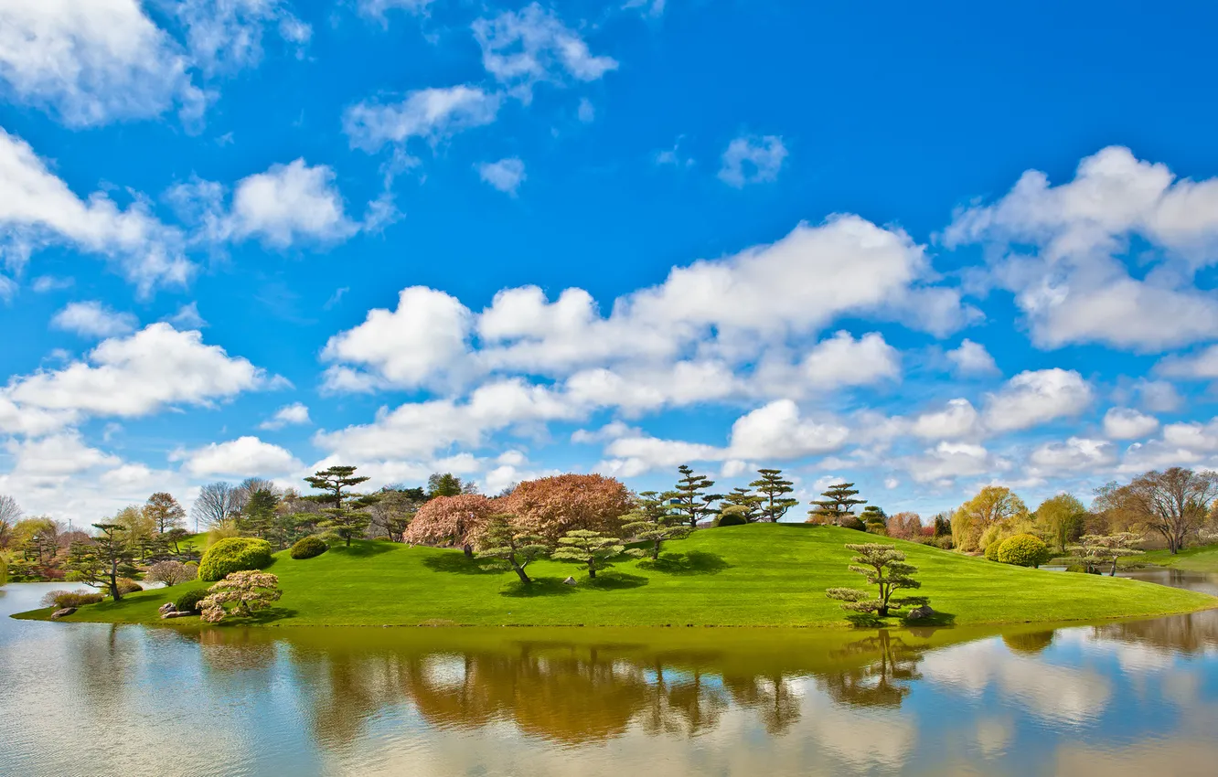 Фото обои небо, трава, облака, деревья, озеро, пруд, парк