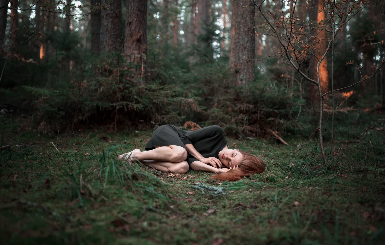 Фото обои лес, девушка, сон, Александр Куренной
