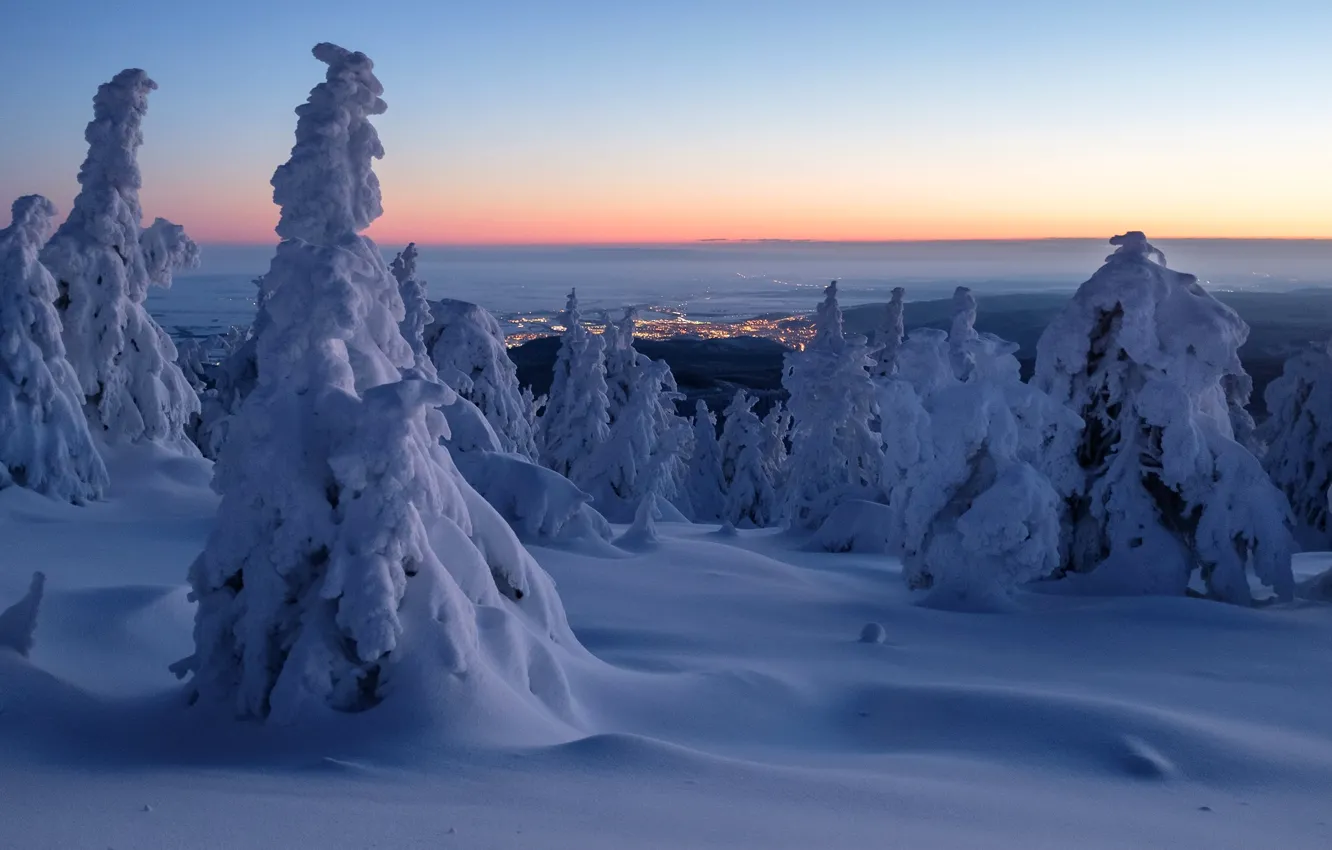 Фото обои зима, снег, деревья, рассвет, утро, Германия, панорама, сугробы