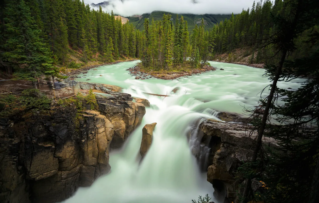 Фото обои лес, деревья, река, скалы, водопад, Канада, Альберта, Alberta