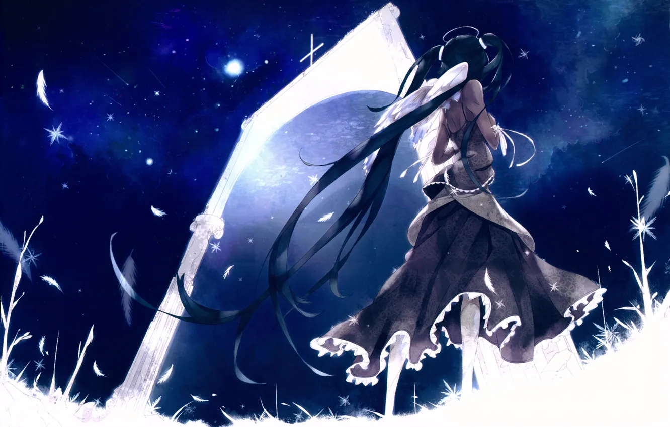 Фото обои трава, звезды, ночь, спина, крылья, крест, перья, ворота