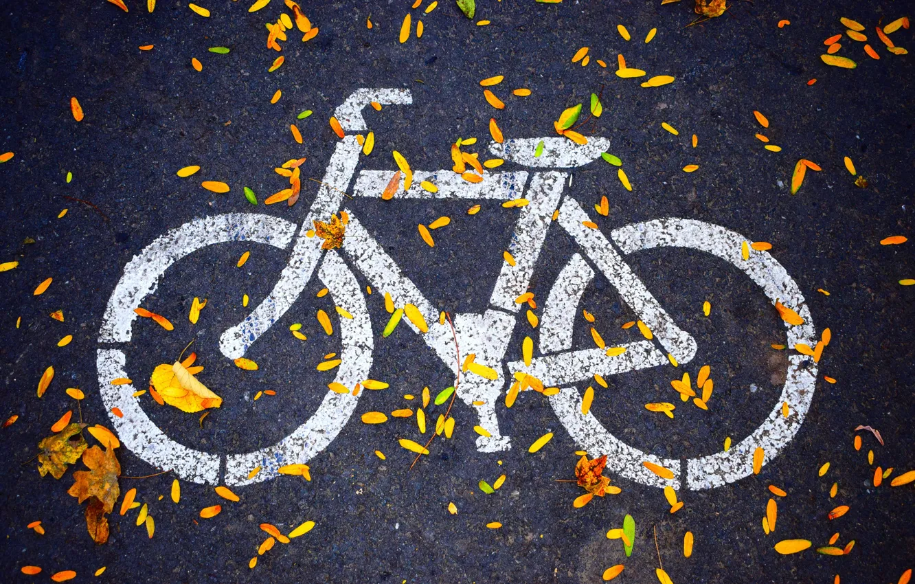 Фото обои осень, асфальт, hdr, тротуар, велодорожка, рисунок на асфальте, велоиспед, листья на дороге
