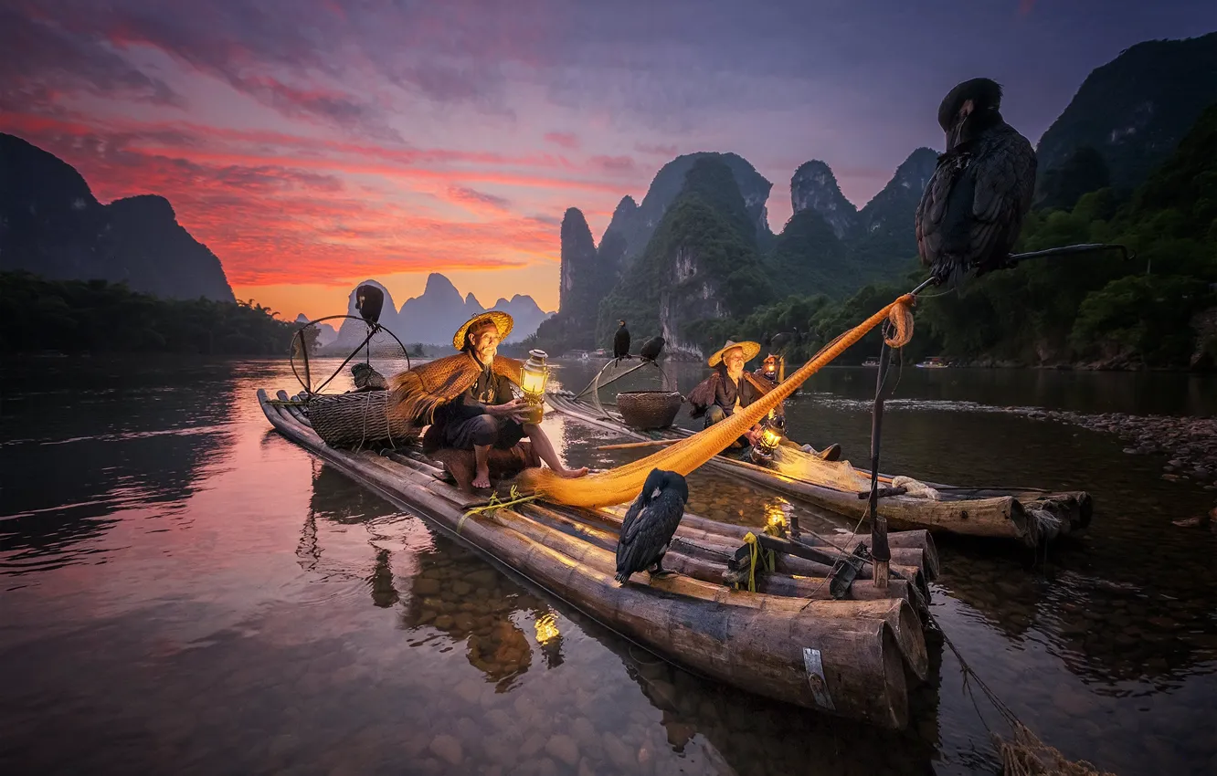 Фото обои птица, лодка, рыбак, Китай, баклан, Гуанси