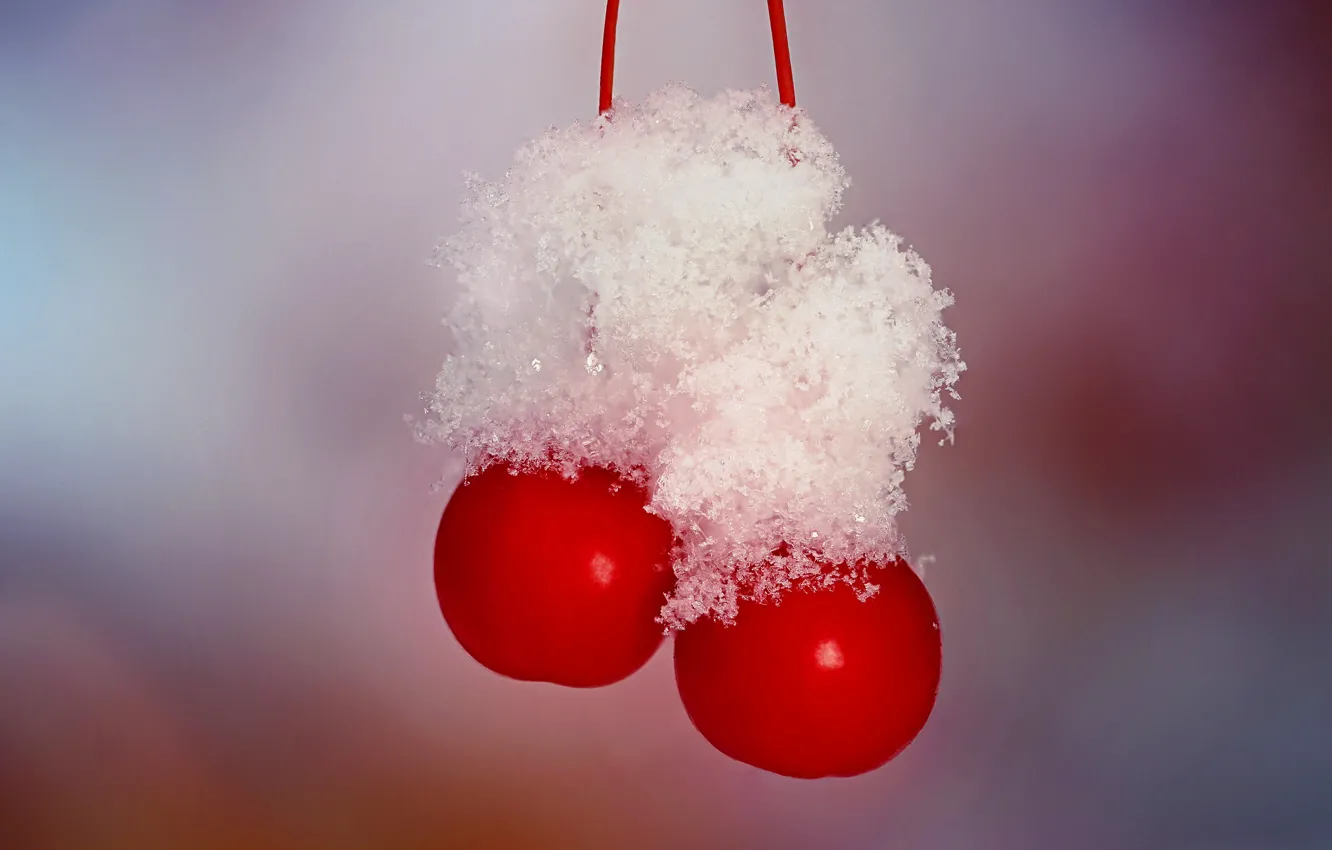 Фото обои снег, вишня, ягоды, кристаллы, черешня