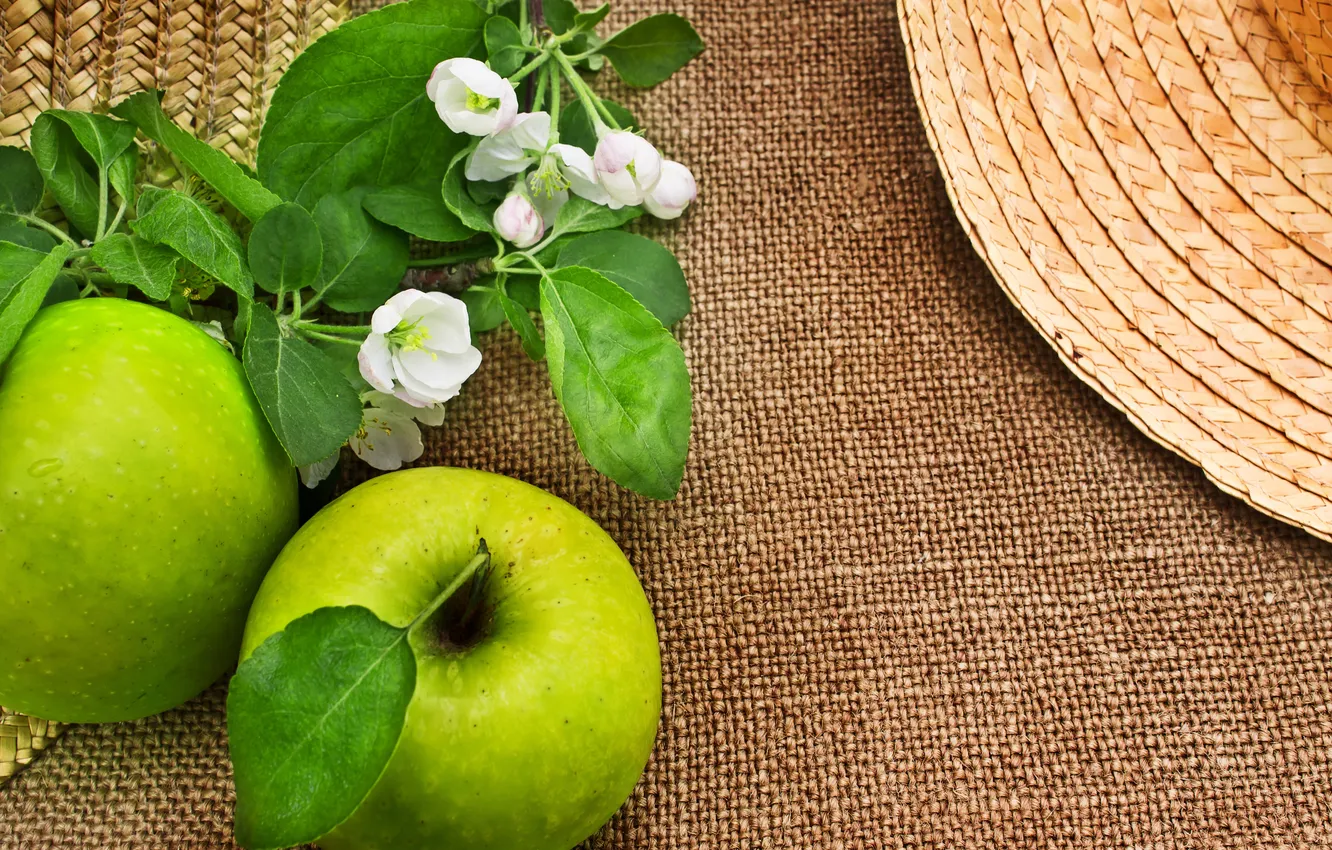 Фото обои фрукт, листики, веточки, цветы яблони, зеленые яблоки