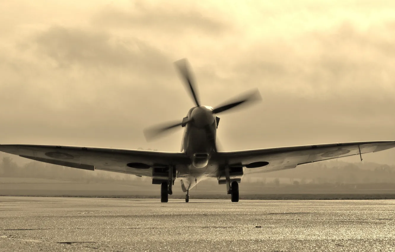 Фото обои самолет, британский, учебно-тренировочный, Spitfire Tr.9