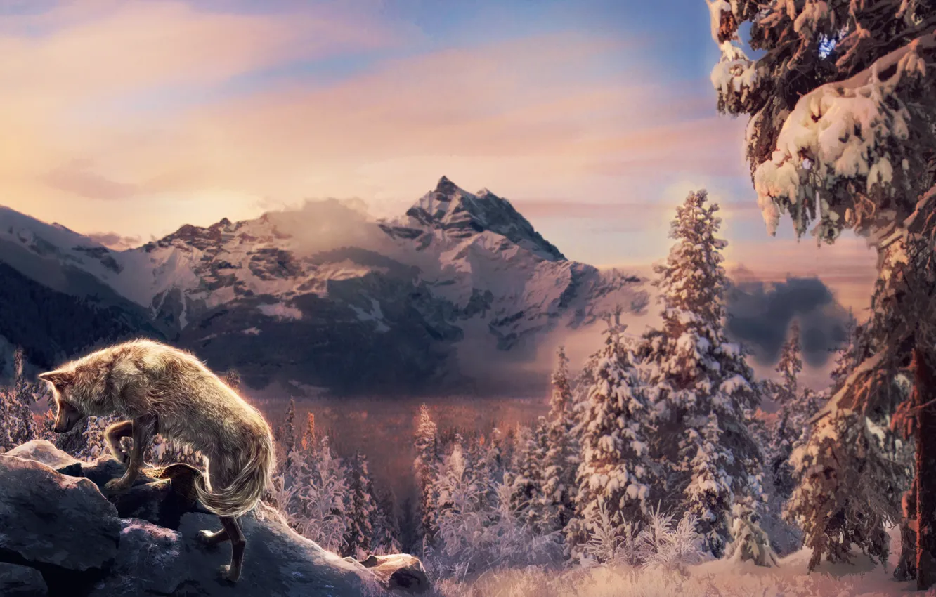 Фото обои снег, горы, природа, волк, ретушь, by Amphispiza