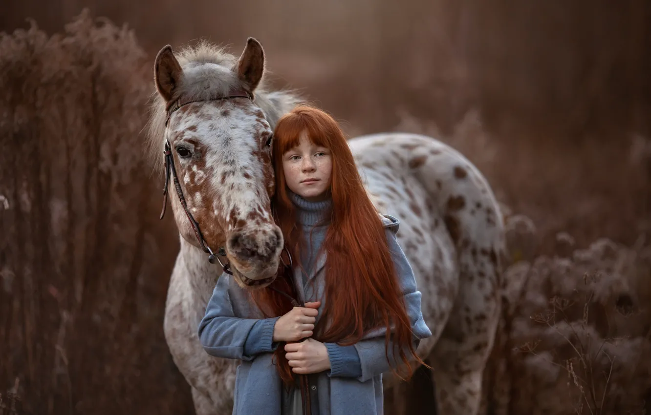 Фото обои лошадь, девочка, веснушки, Arma Gray