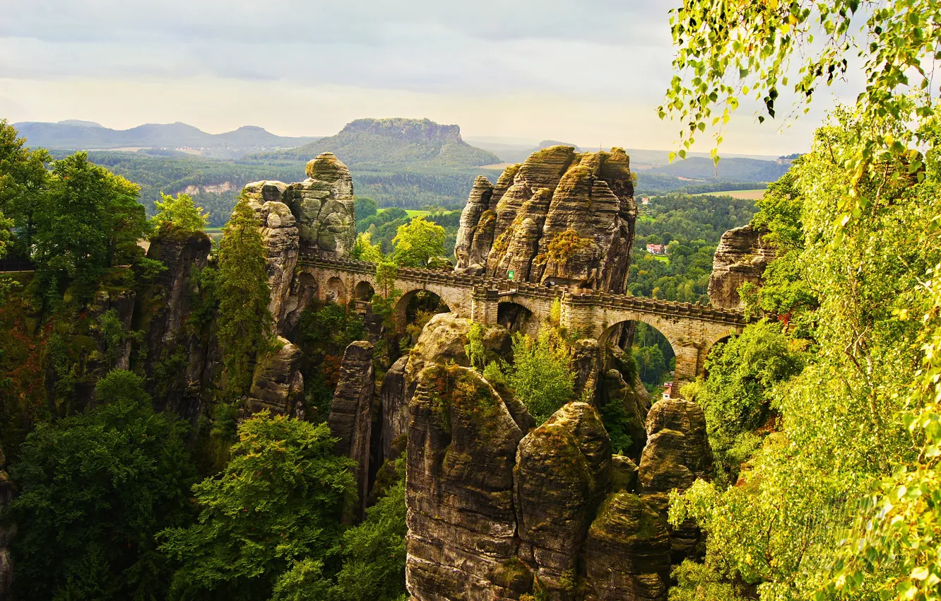 Фото обои деревья, мост, парк, камни, скалы, высота, Германия, Saxon Switzerland National Park