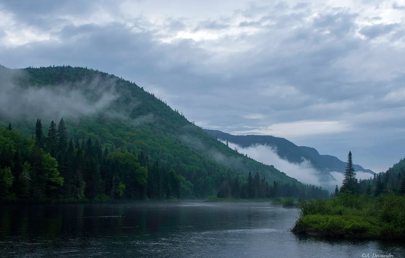 Фото обои лес, облака, деревья, горы, туман, река, Канада, Jacques-Cartier National Park
