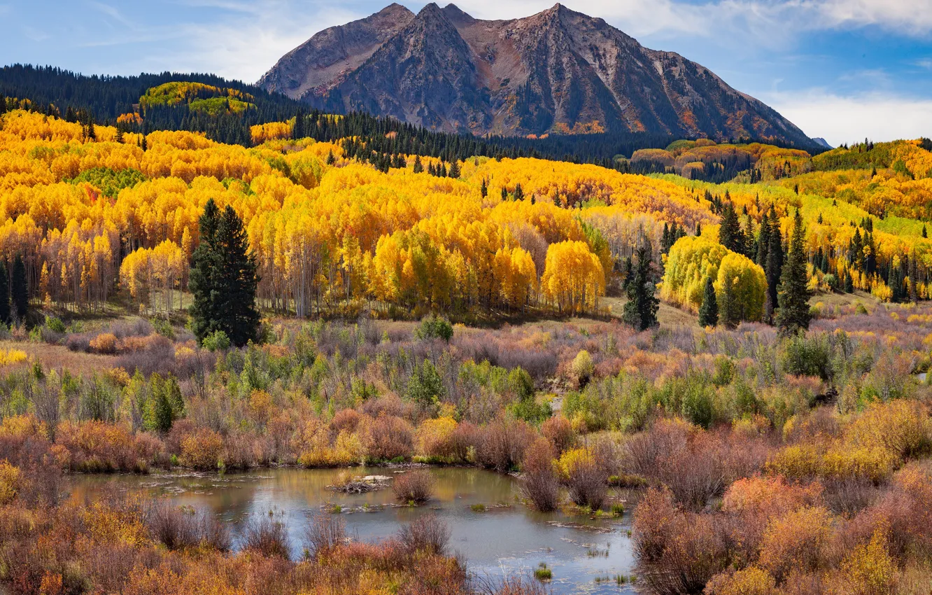 Фото обои осень, лес, горы, берег, вид, болото, склон, водоем