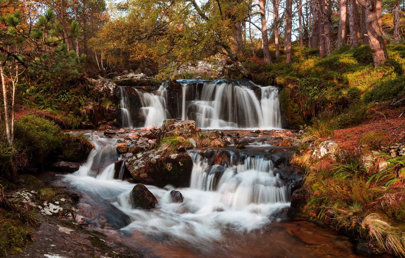 Фото обои осень, деревья, камни, скалы, листва, водопад