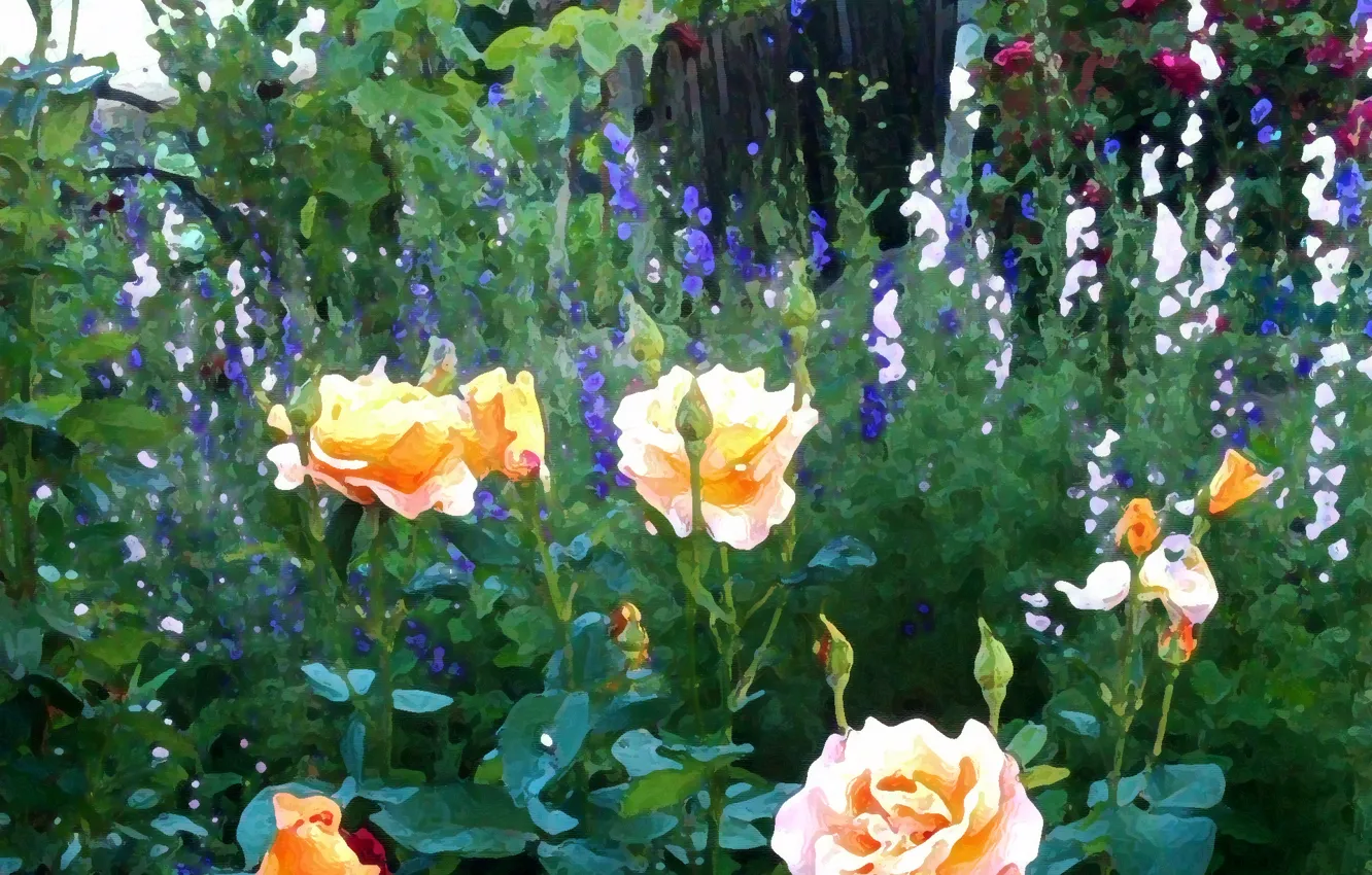 Фото обои цветы, забор, розы, Природа, кусты