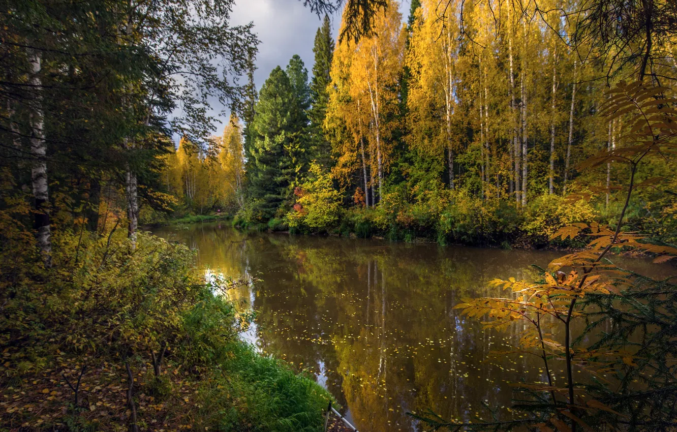 Осень у реки картинки