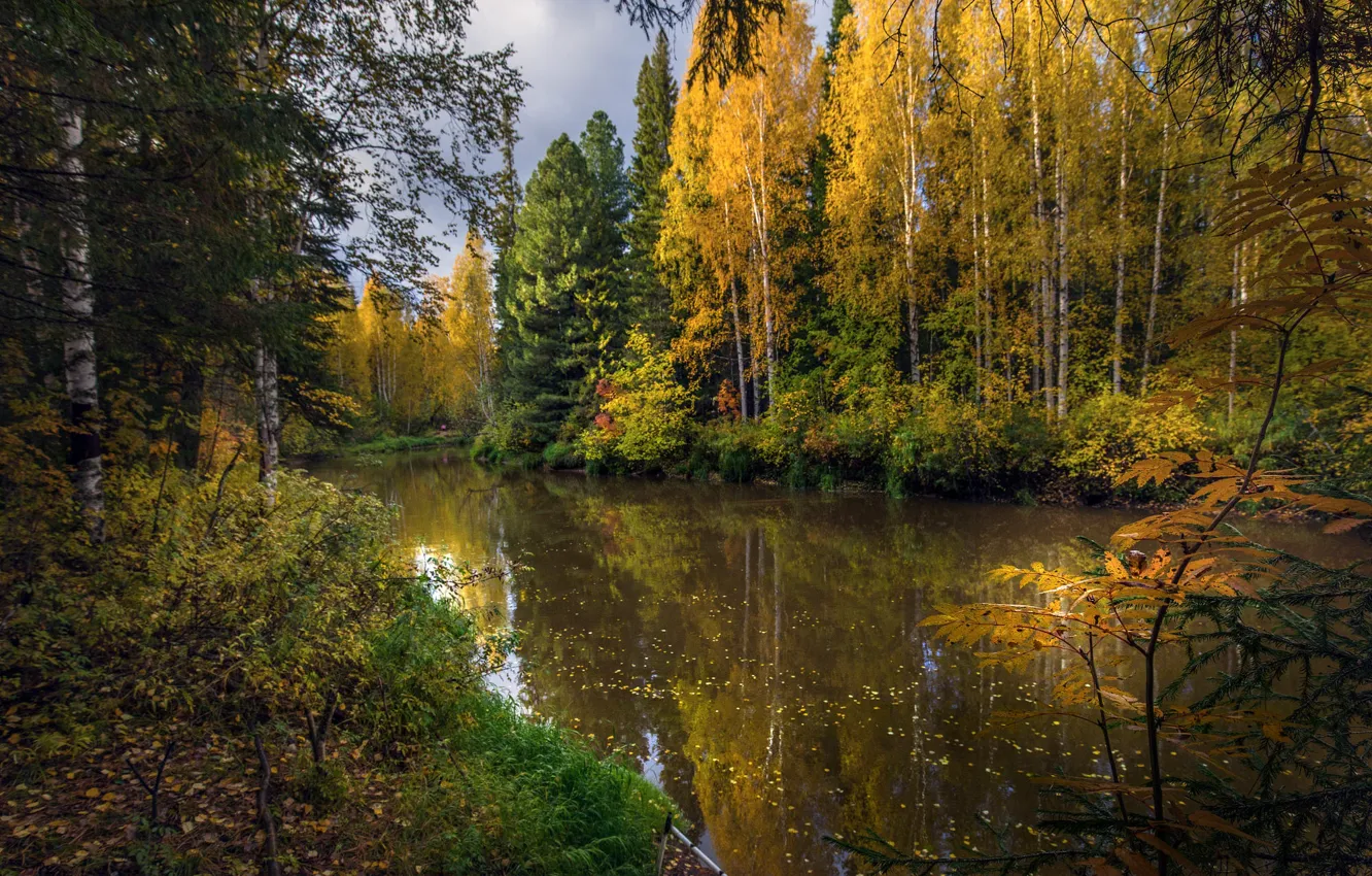 Фото обои осень, лес, пейзаж, природа, отражение, река