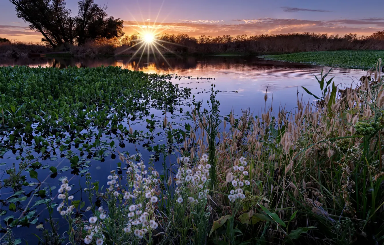 Фото обои закат, природа, река