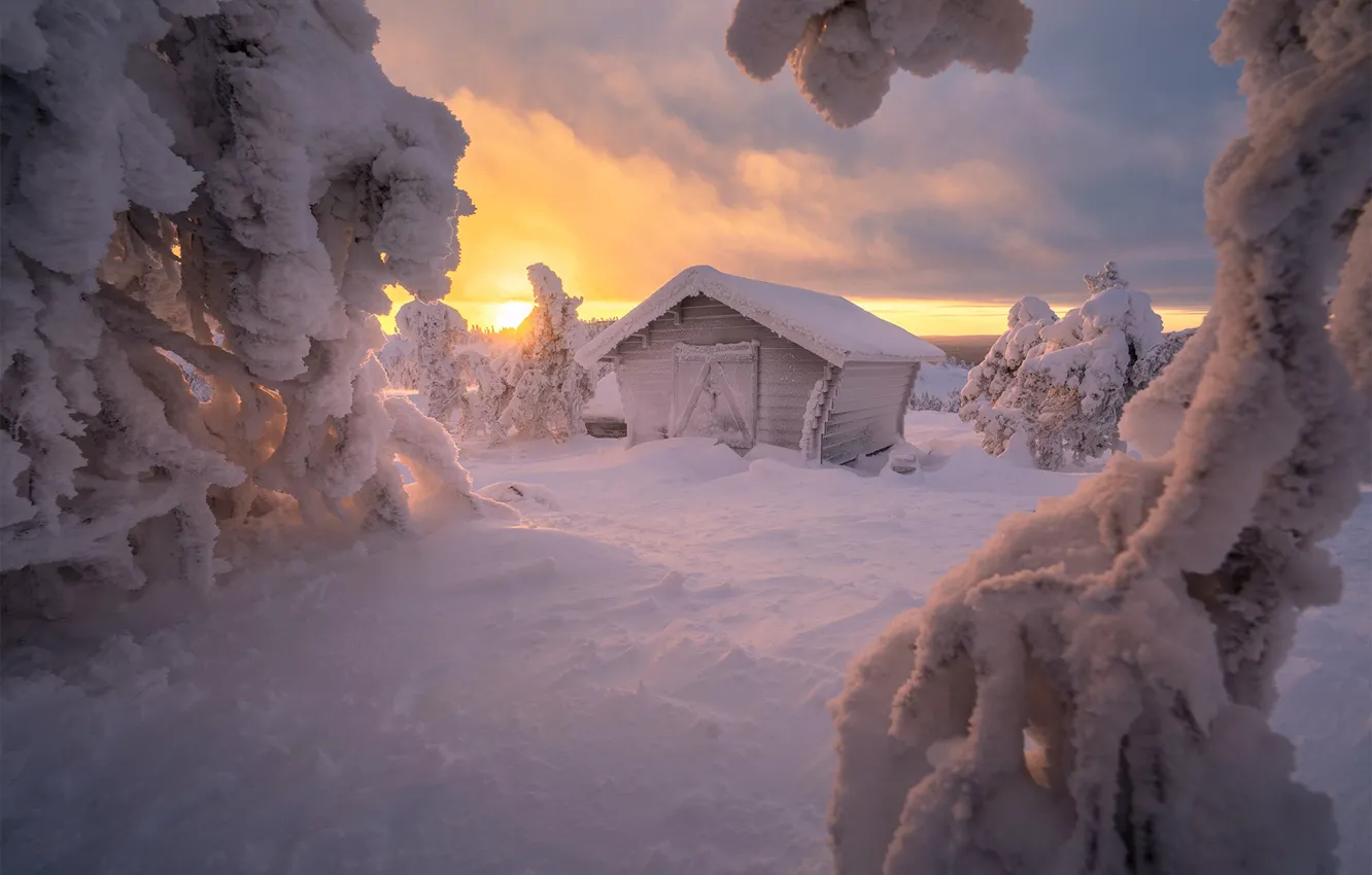 Фото обои зима, снег, закат, избушка, сугробы, хижина, Россия, деревь
