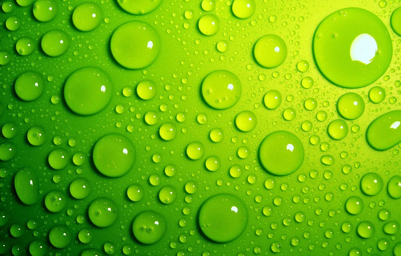 Фото обои вода, капли, фон, зелёные