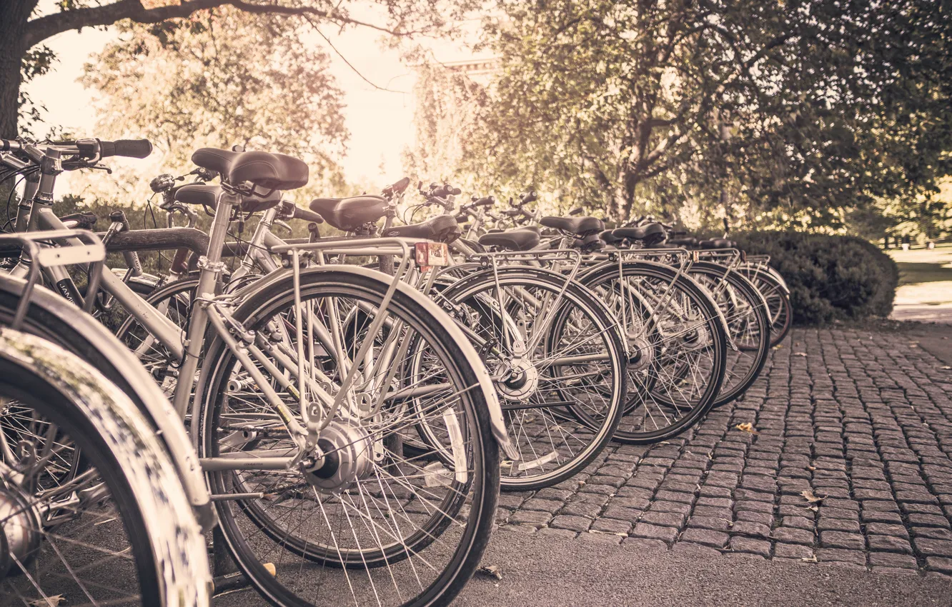 Фото обои велосипед, город, парк, брусчатка, колесо, парковка