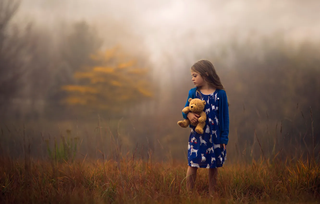 Фото обои осень, природа, игрушка, девочка