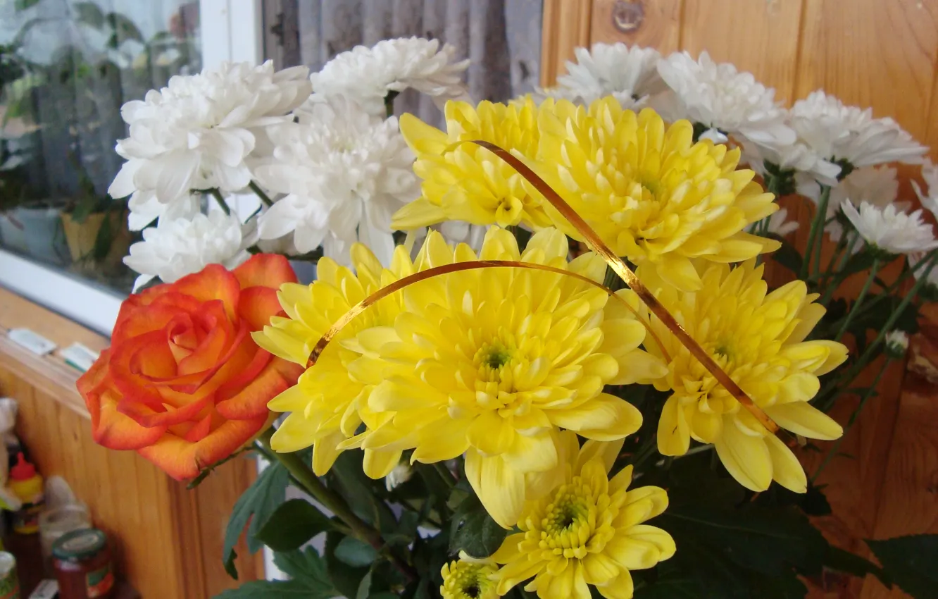 Фото обои настроение, хризантемы, осенние цветы