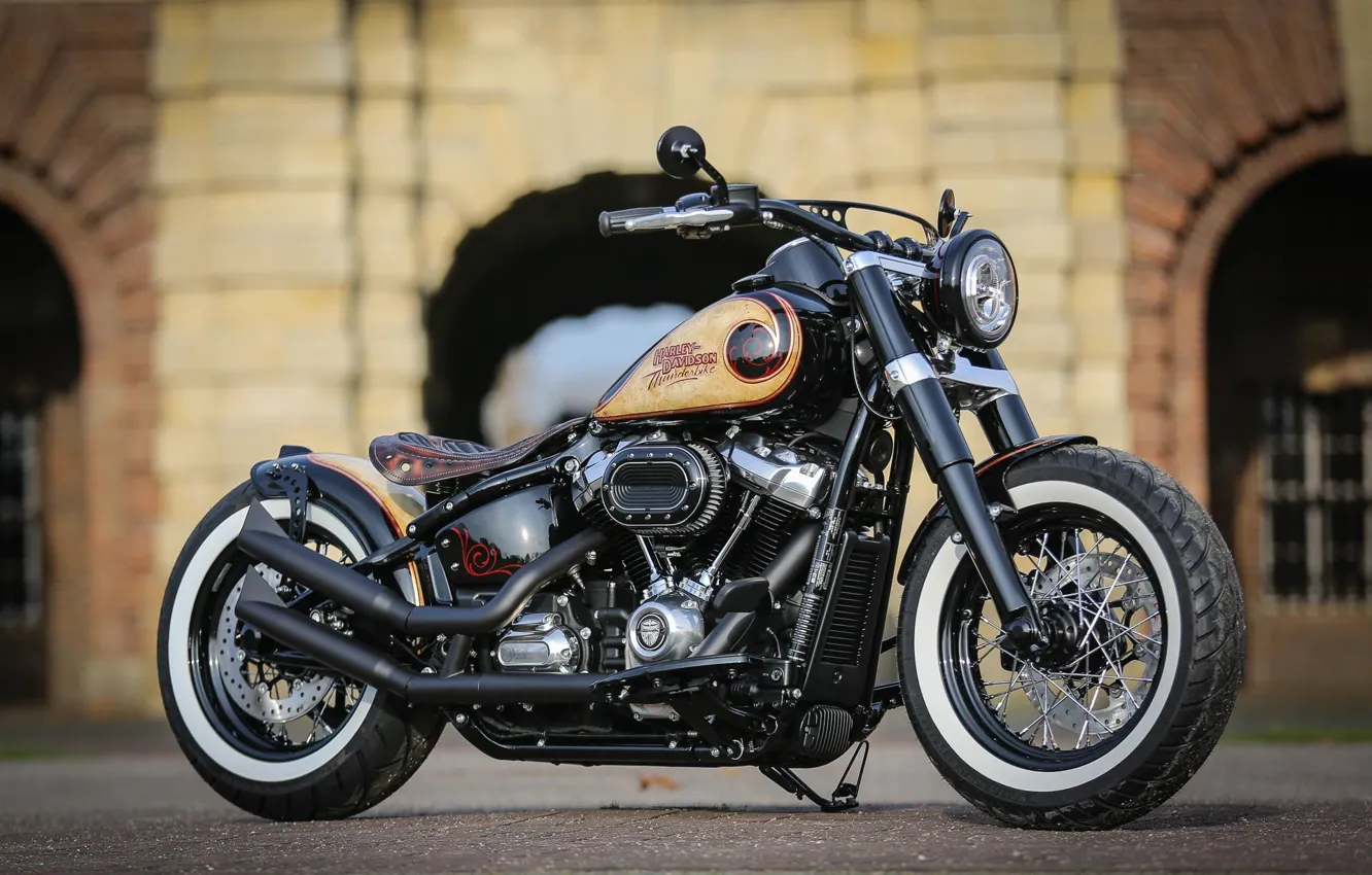 Фото обои Harley Davidson, Harley-Davidson, Custom, Motorbike, Thunderbike, By Thunderbike, FLYING SLIM