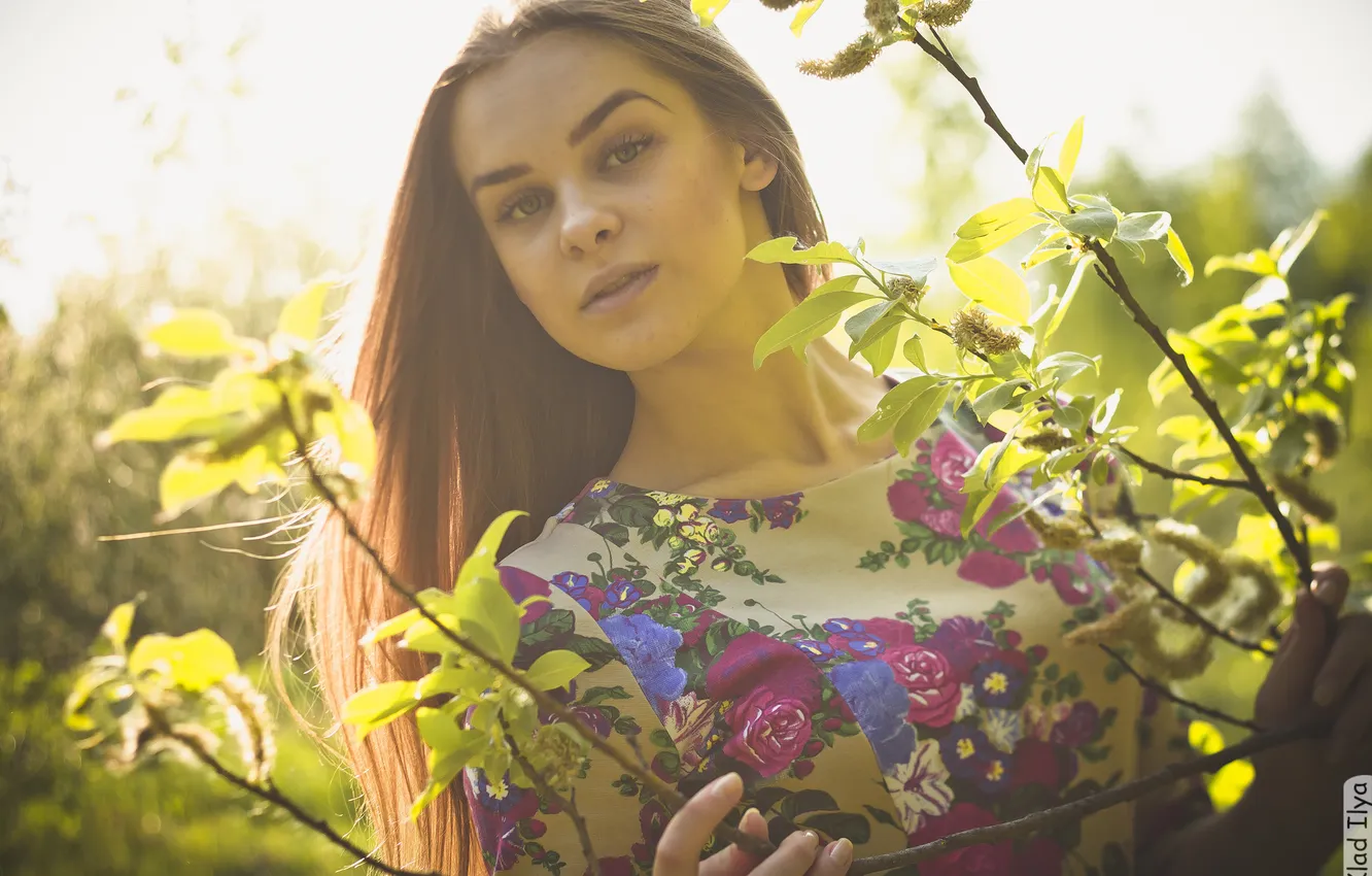 Фото обои девушка, ветка, фотограф, girl, photography, photographer, Ilya Klad, Илья Кладь