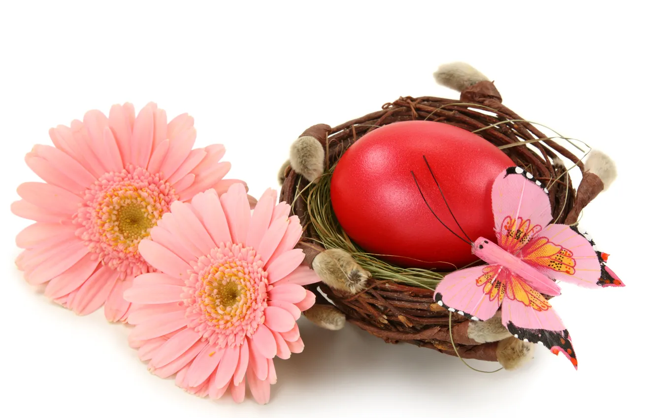 Фото обои цветы, яйца, весна, пасха, Easter