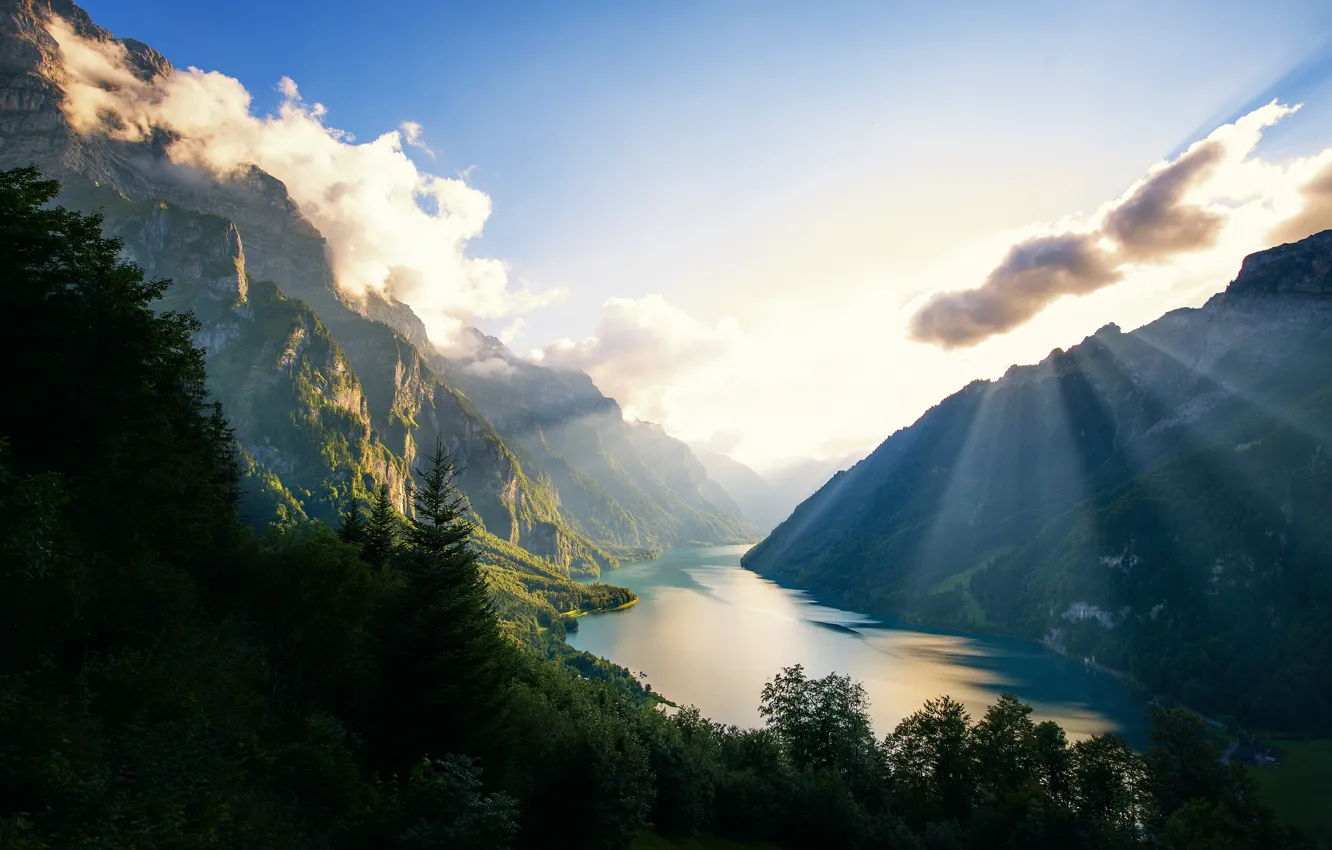 Фото обои лес, горы, природа, Альпы, Switzerland, Klöntalersee, natural lake