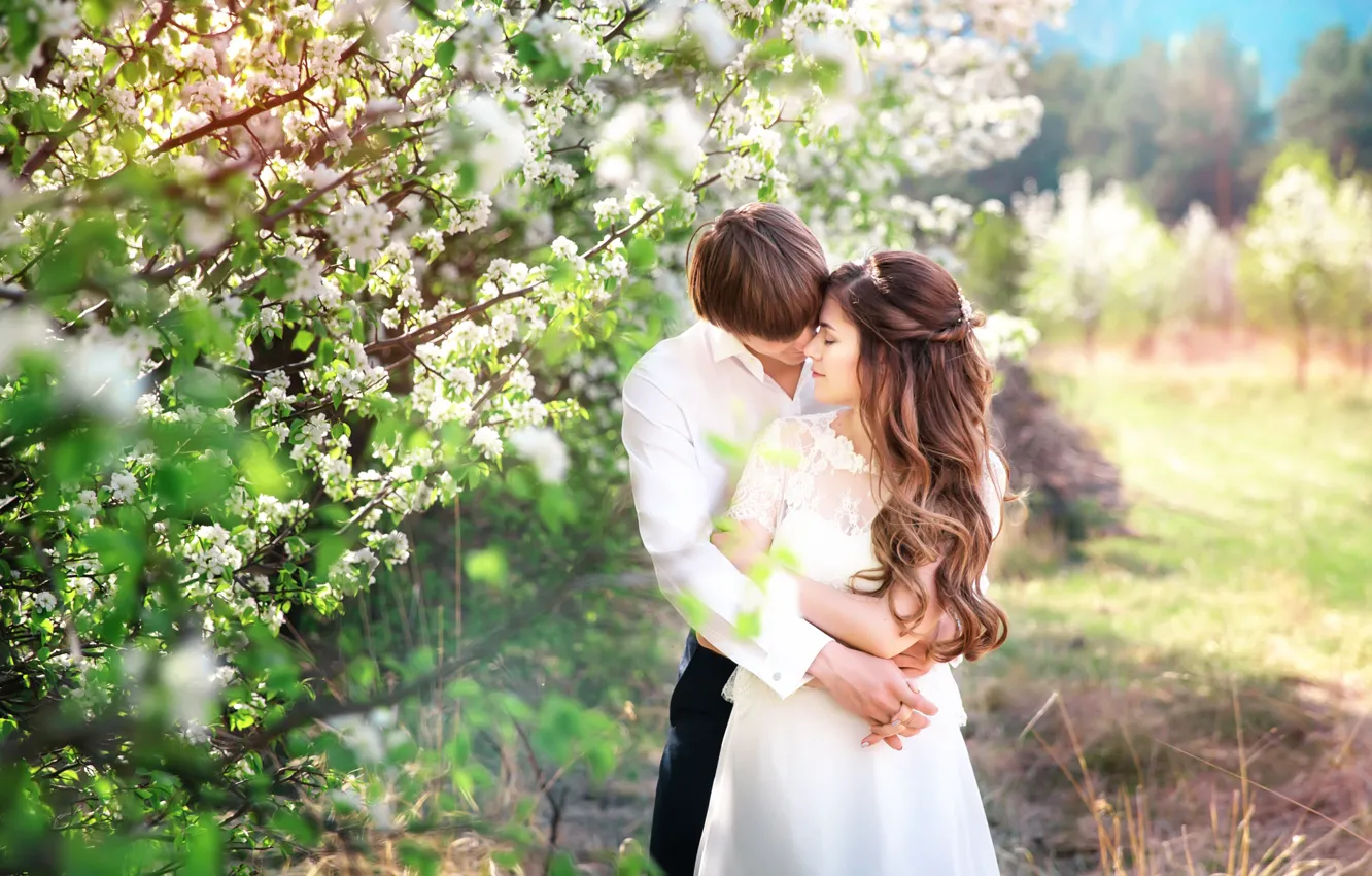 Фото обои любовь, весна, невеста, цветение, жених, Natalia Panina