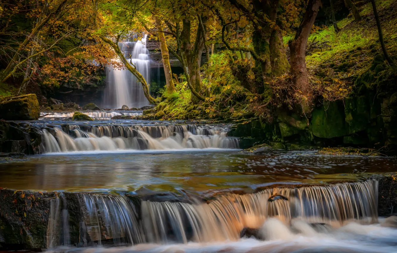 Фото обои осень, лес, деревья, камни, Англия, водопад, County Durham