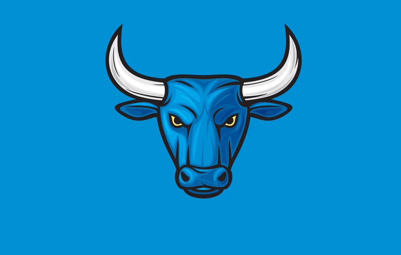 Фото обои синий, минимализм, бык, bull