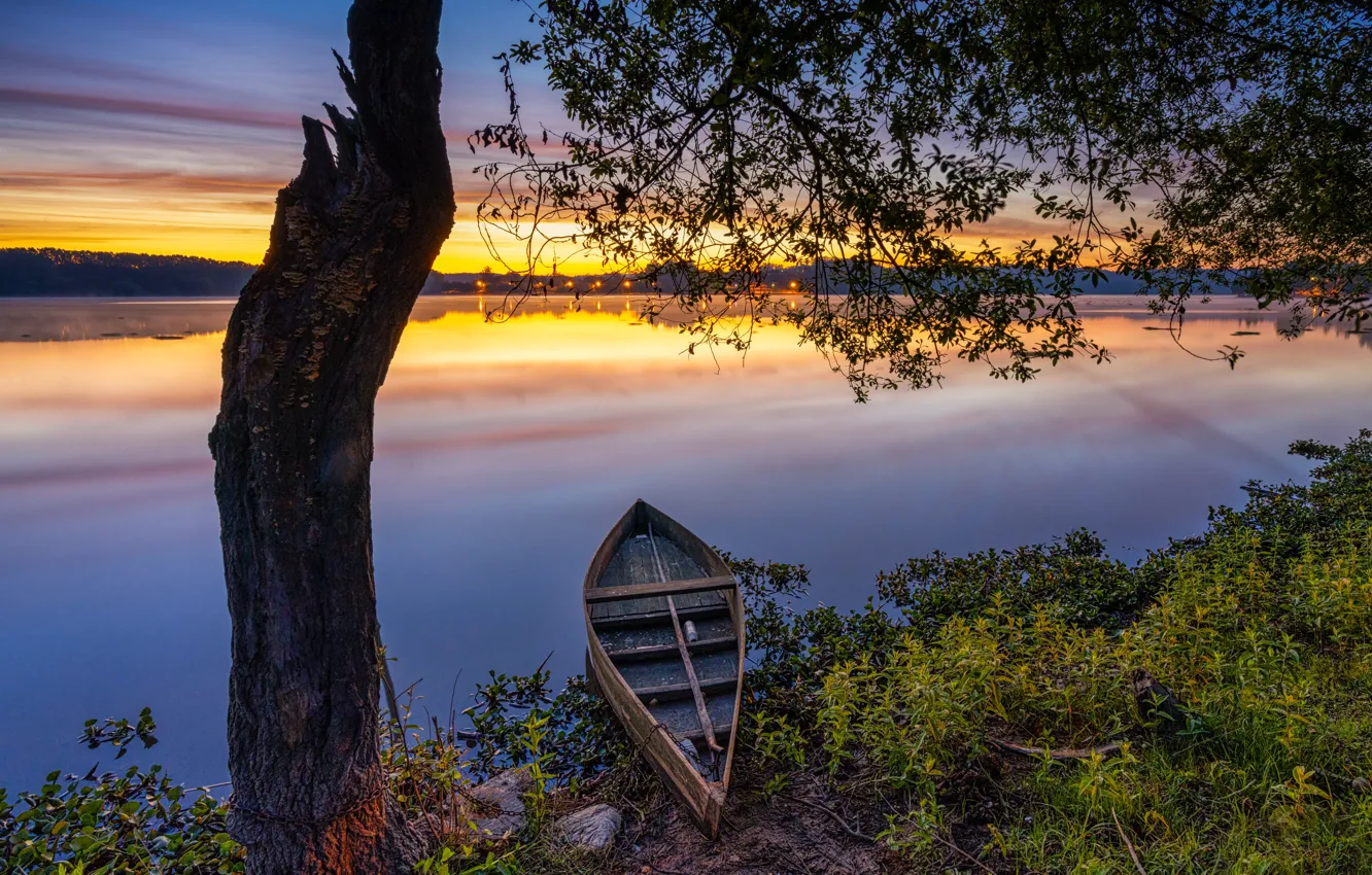 Фото обои закат, дерево, лодка, Португалия, лагуна, Portugal, Pateira de Fermentelos Lagoon, Лагуна Патейра-де-Ферментелос