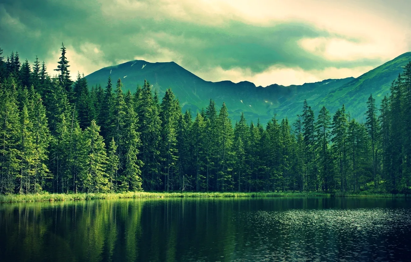 Фото обои лес, горы, природа, озеро, пасмурно, рыбалка, красиво