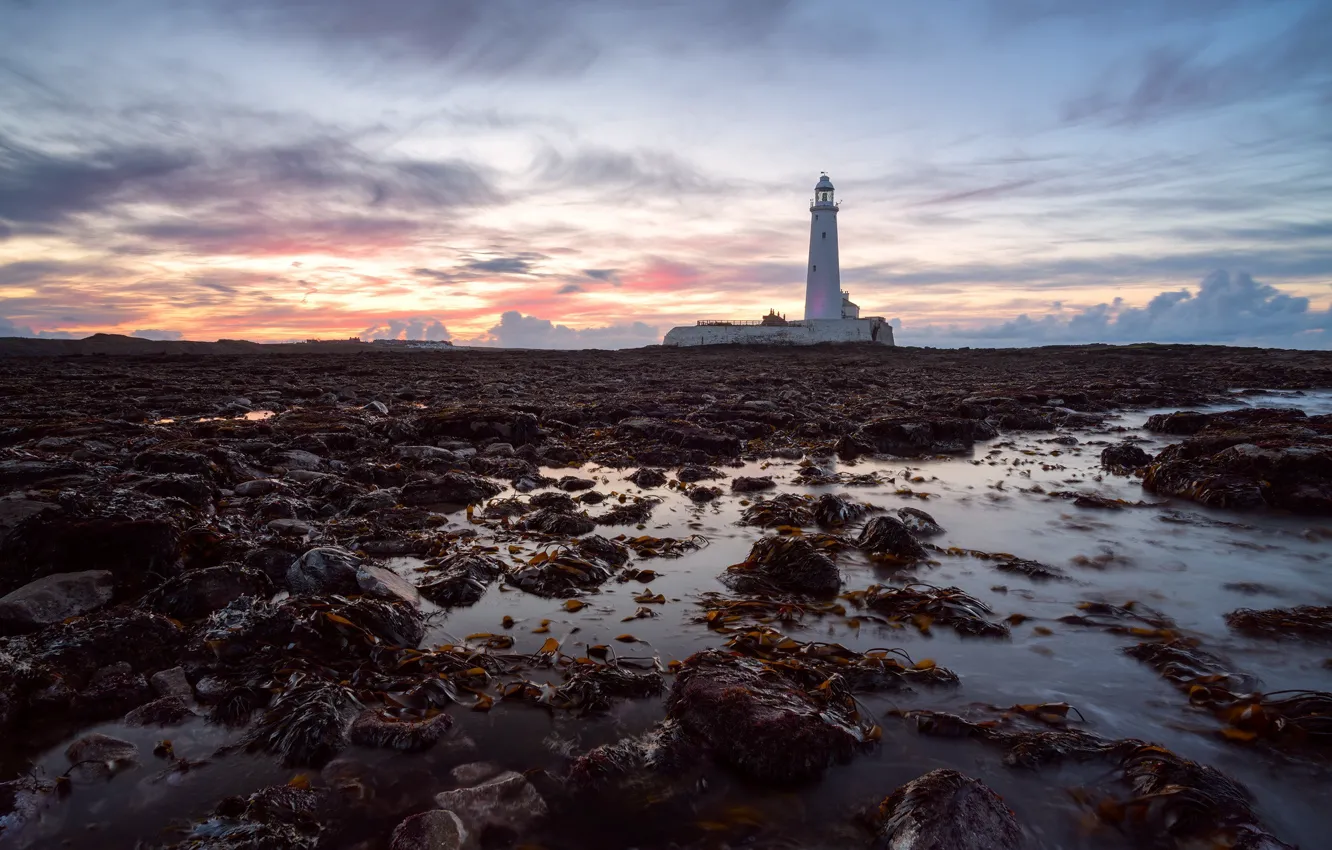 Фото обои England, St Mary's Lighthouse, Tyneside
