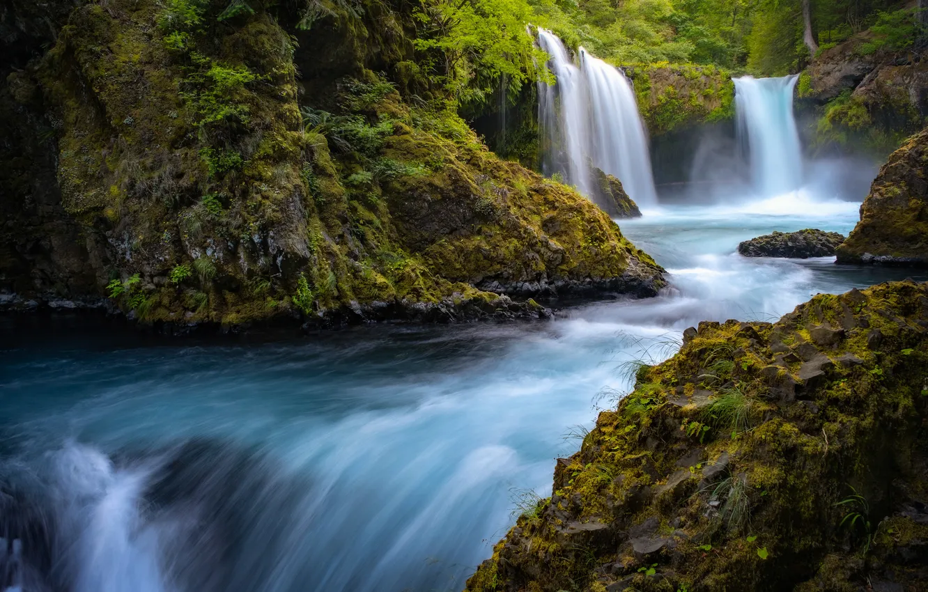 Фото обои лес, камни, скалы, берег, растительность, водопад, мох, поток