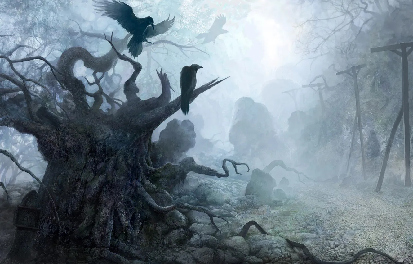 Фото обои лес, деревья, туман, вороны, мрачный